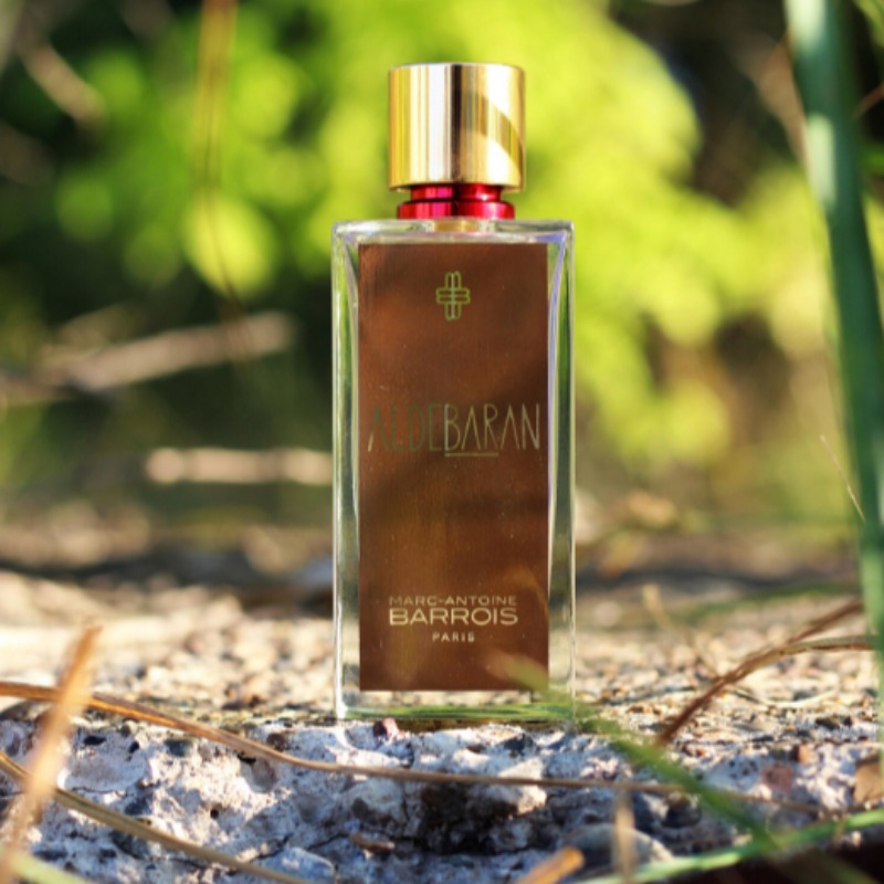 Perfume Unisex Amaderado Espec - Perfume Fragrance Intense reseña y precio