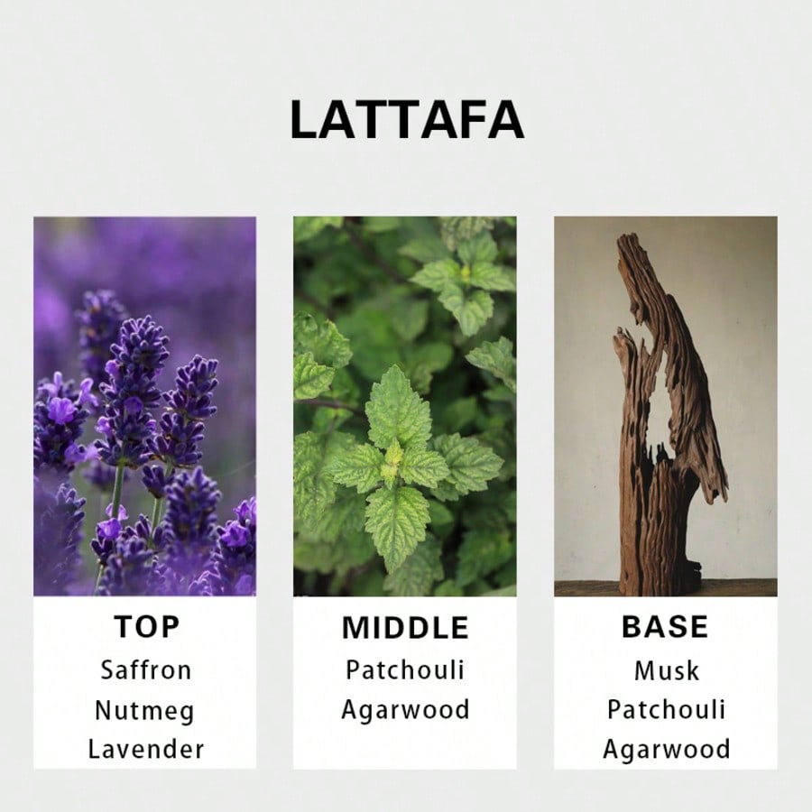 Lattafa Badee Al Oud For Glory - Pure Perfume Fragrance reseña y precio
