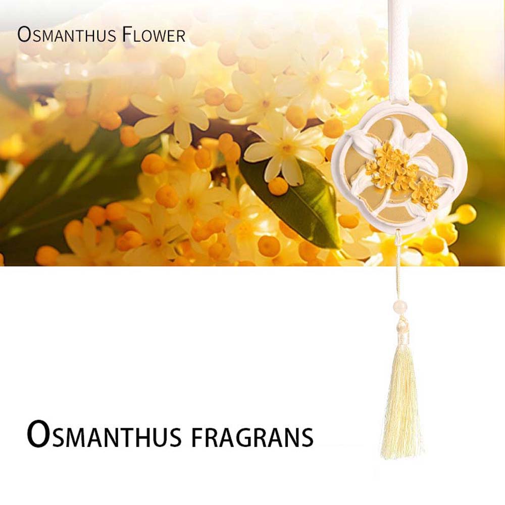 Colgante con fragancia para co - Perfume Gardenia Fragrance reseña y precio