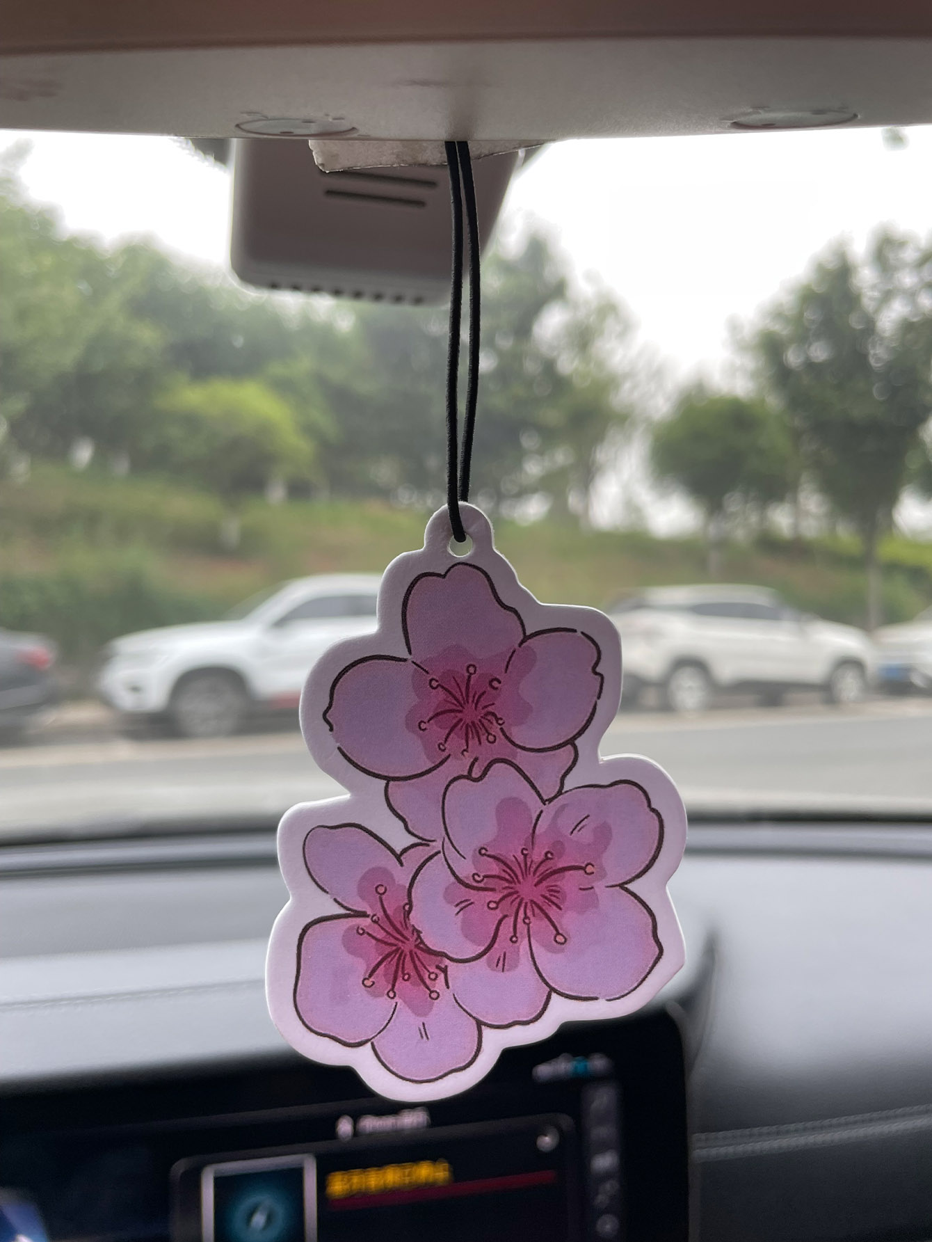 Perfume para Auto de Cinco Est - Perfume Fragrance Store reseña y precio