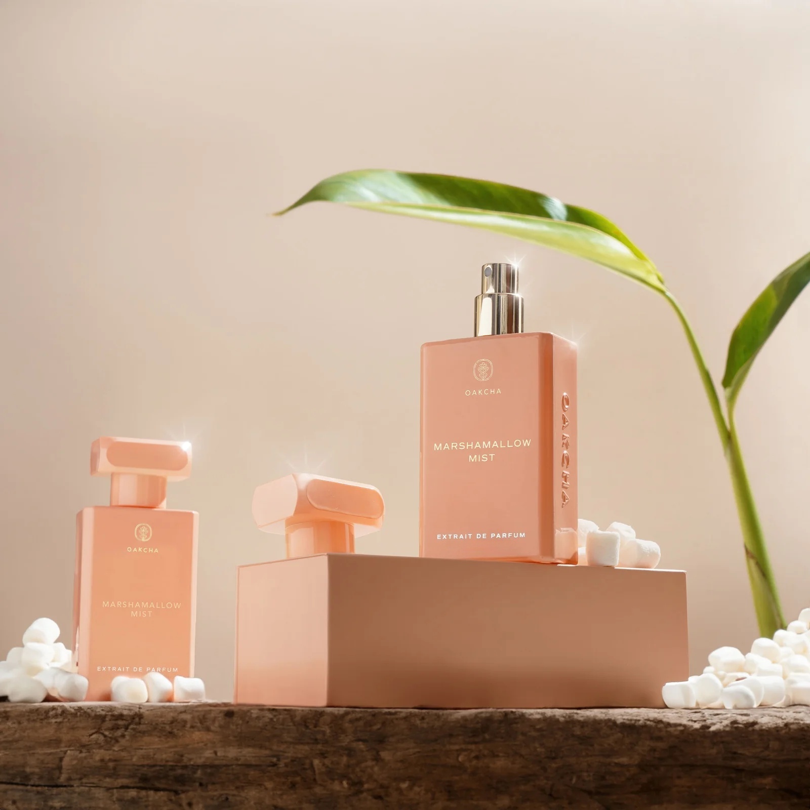 Perfume OAKCHA Marshmallow Mis - Perfume Juicy Fragrance reseña y precio